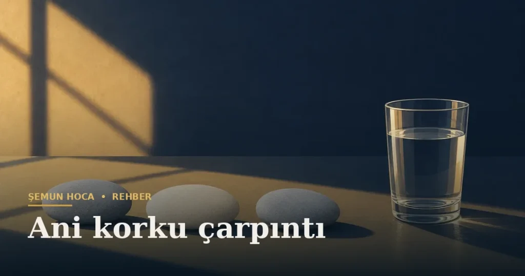Ani korku çarpıntı — Şemun Hoca bilgi rehberi başlıklı görseli