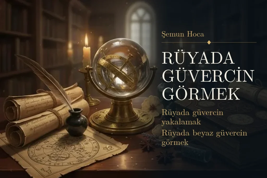 Rüyada güvercin görmek tabiri — Şemun Hoca rüya yorumu: rüyada güvercin yakalamak