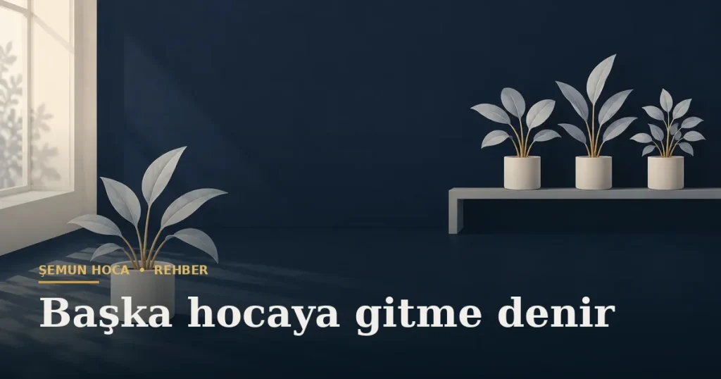 Başka hocaya gitme denir — Şemun Hoca bilgi rehberi başlıklı görseli